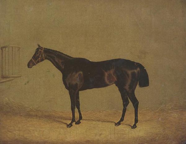 John Frederick Herring The Racehorse 'Mulatto' in A Stall Germany oil painting art